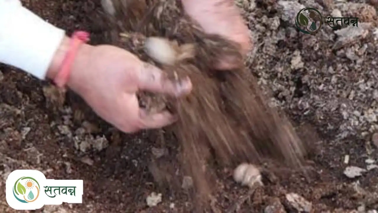 Waste Decomposer Farming