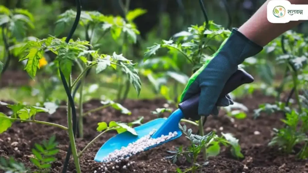 Fertilizer supply india